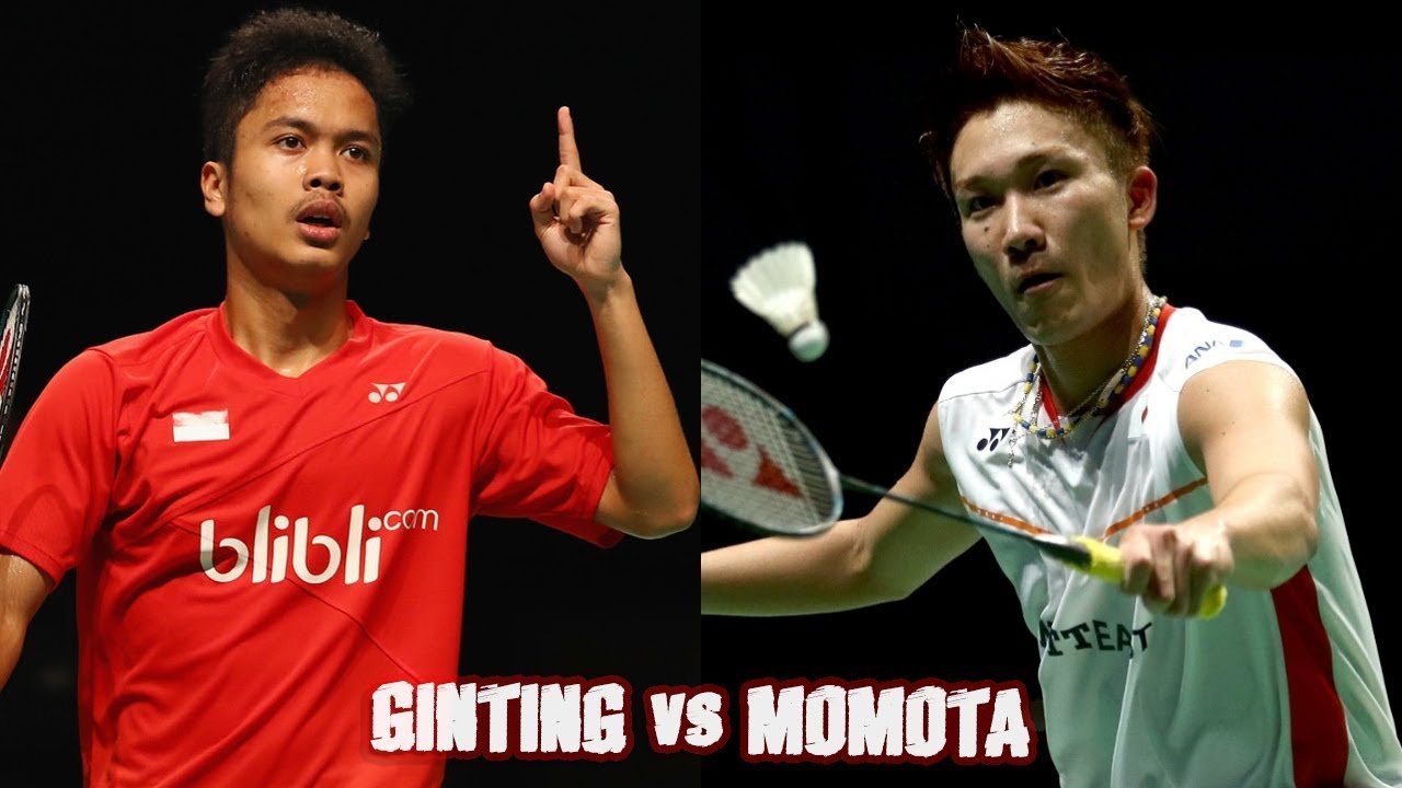 关于印度羽毛球队碾压泰国羽毛球队，陶菲克惊艳世界的信息