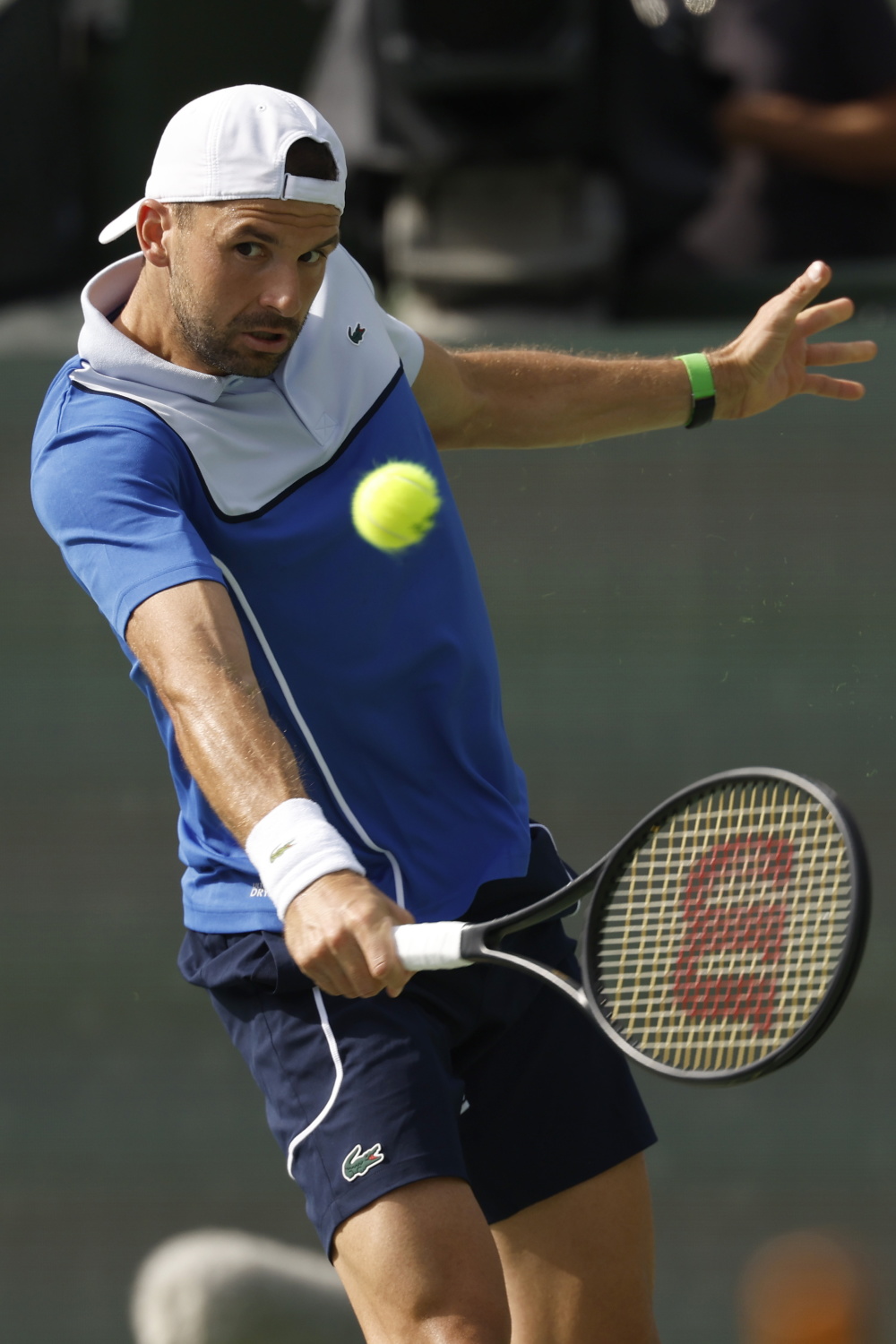 包含德国网球队碾压欧洲网球队,梅德韦杰夫打破历史纪录的词条 包含德国网球队碾压欧洲网球队,梅德韦杰夫打破历史纪录的词条