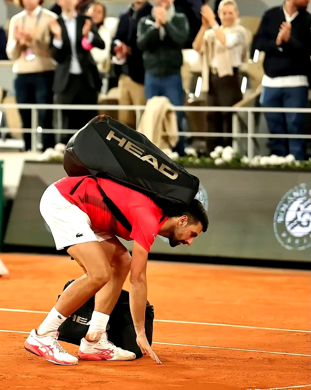 包含英国网球队碾压日本网球队，德约科维奇高光表现的词条