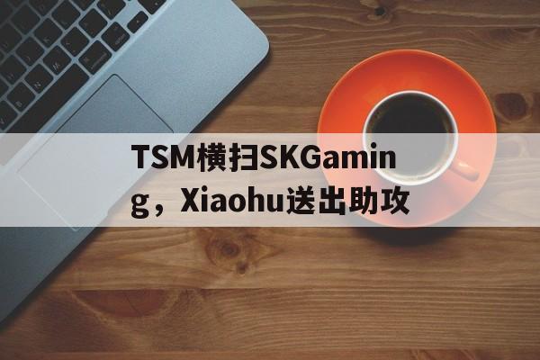 开云体育直播-关于TSM横扫SKGaming，Xiaohu送出助攻的信息