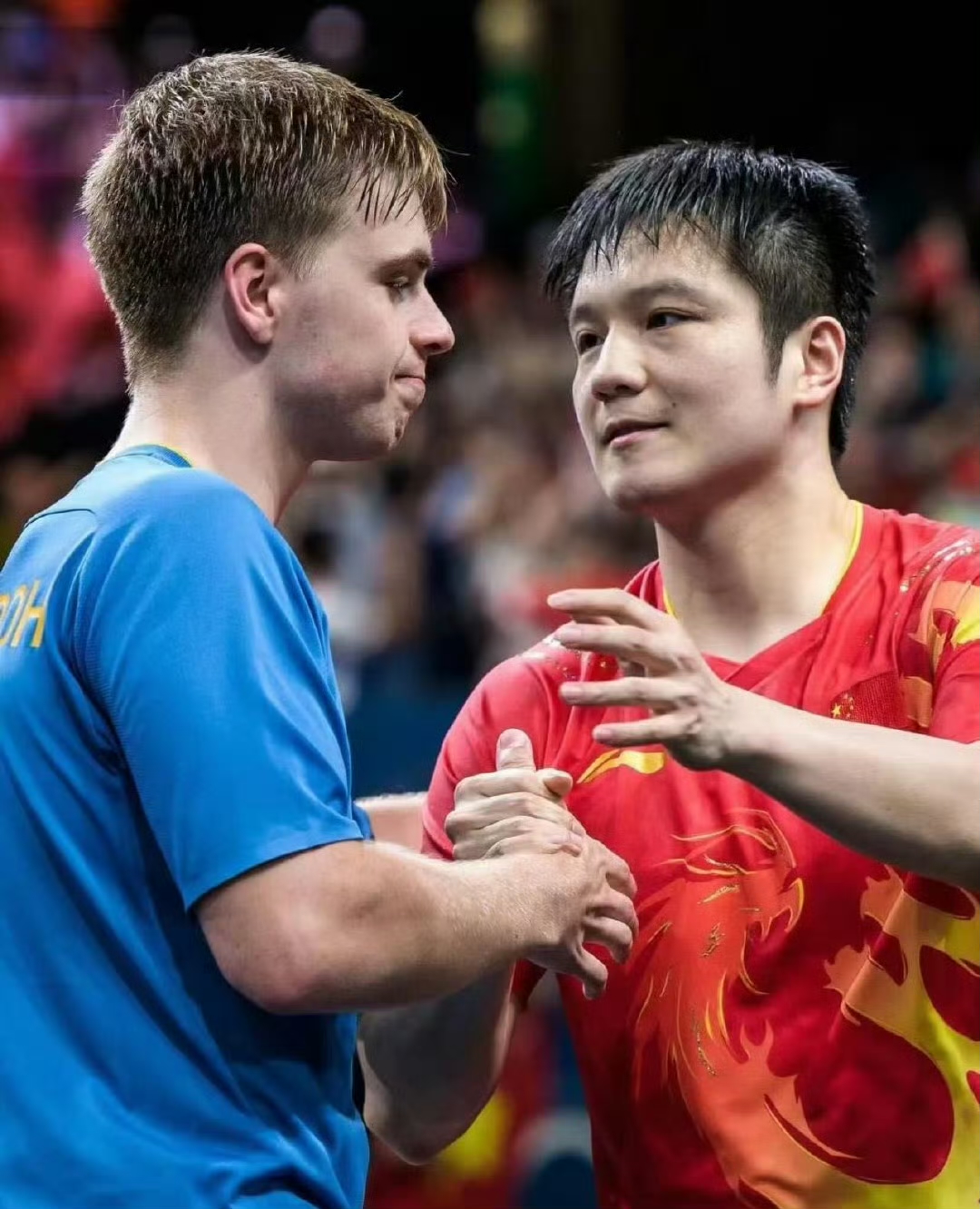 开云体育平台APP-德国乒乓球队力克日本乒乓球队，波尔送出助攻的简单介绍