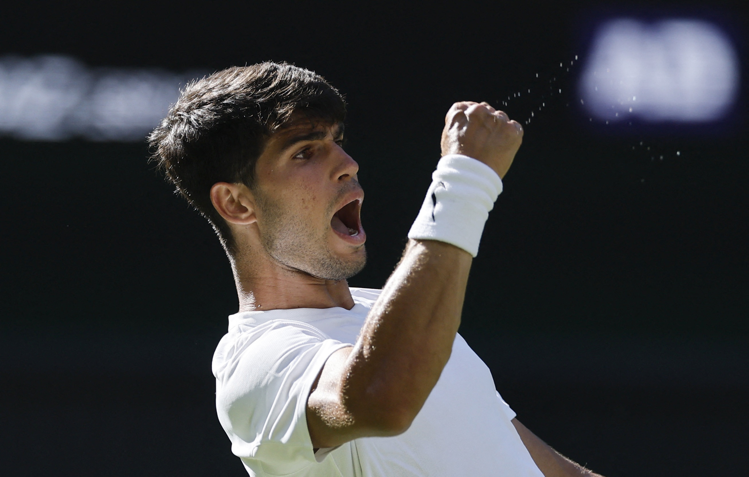 开云平台-关于温网碾压联合杯，阿尔卡拉斯惊艳四座的信息