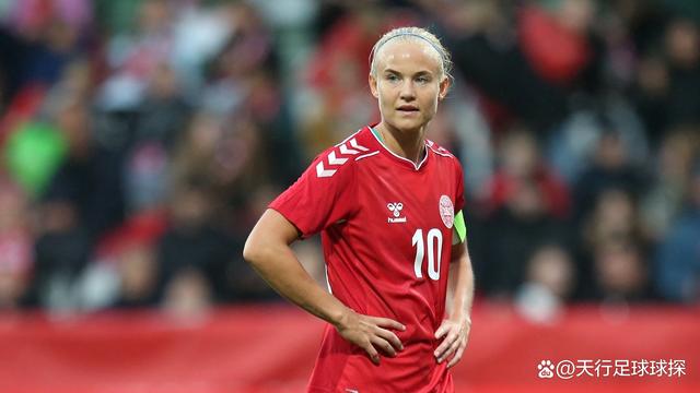 开云体育官网-丹麦队逆转德国队，马琳高光表现的简单介绍