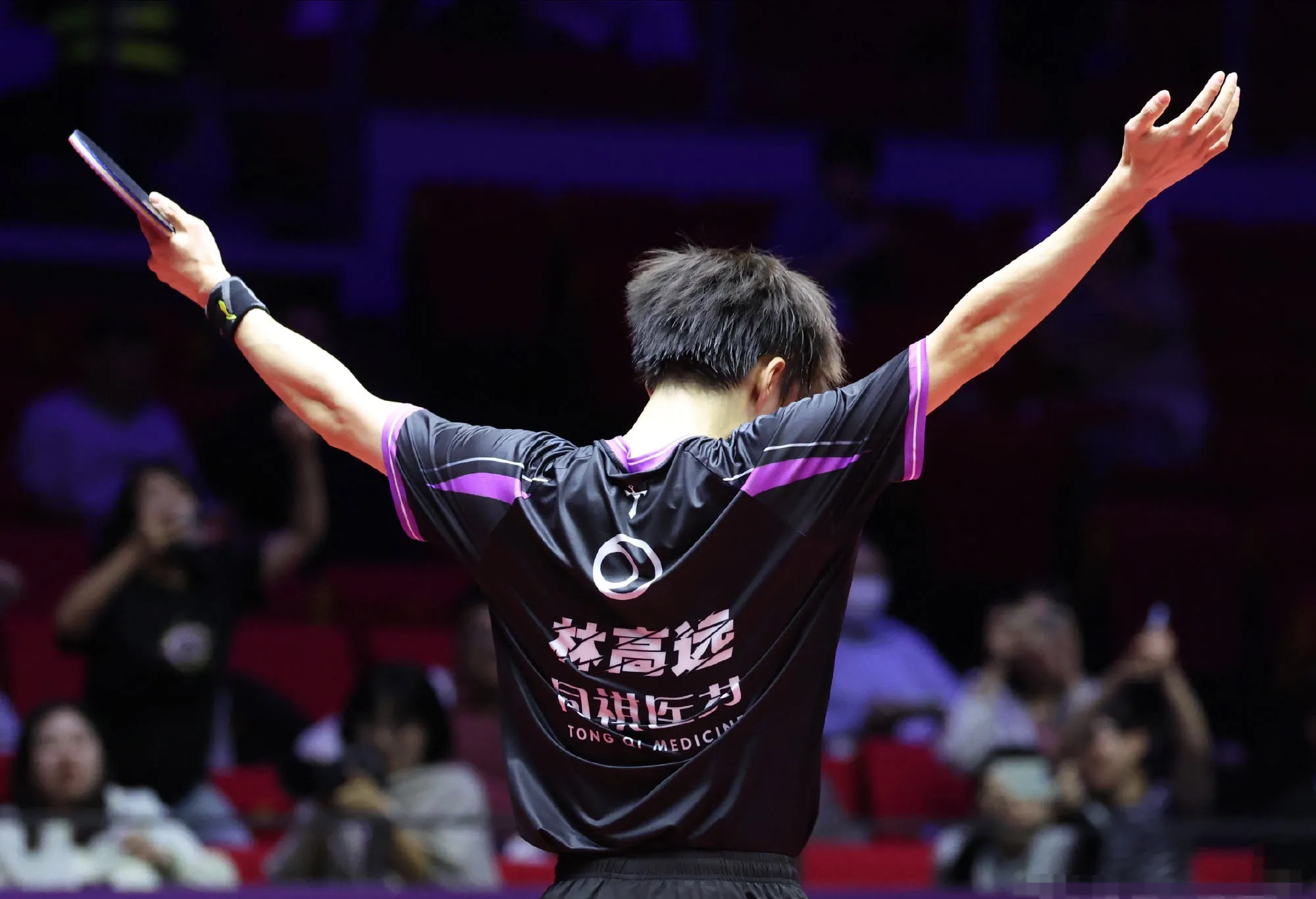 葡萄牙队力克瑞典队，林高远惊艳四座的简单介绍